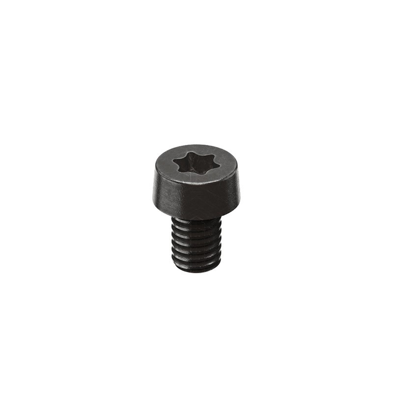 OR COVER SCREW M4x6 ISO 14580